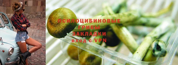 крисы Верхнеуральск