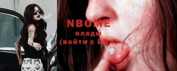 бошки Туринск