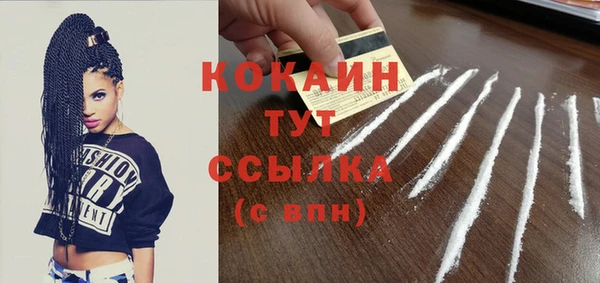 бошки Туринск