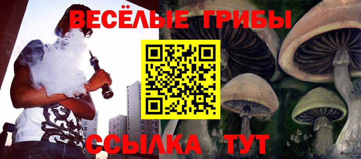 Мценск  Галлюциногенные грибы мицелий  Вход с VPN 