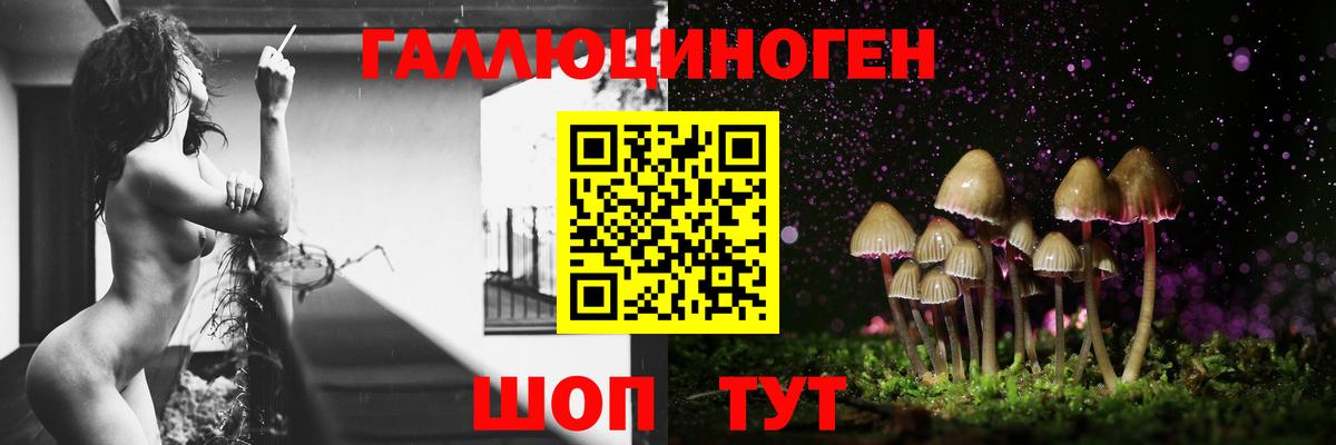 Галлюциногенные грибы GOLDEN TEACHER Мценск